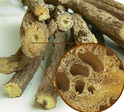 شیرین بیان روسی